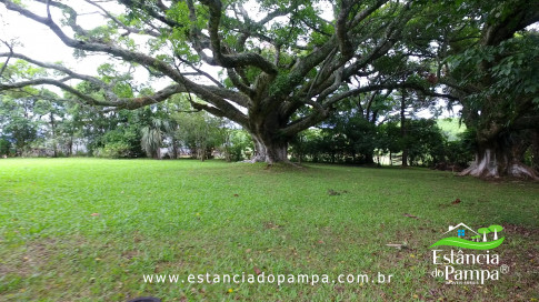DOS EÓLICOS VIRA P FAZENDA_Moment.00_00_38_12.Quadro136_606b706775096e7fcc3c3d5bbe58cc25ff3dd2ba.jpg